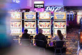 ibet789net